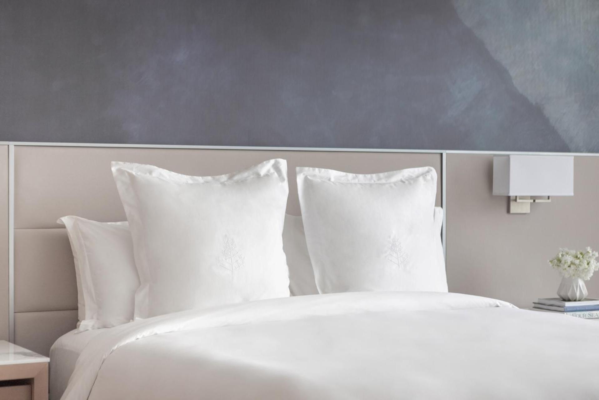 Hotel Four Seasons Saint Louis